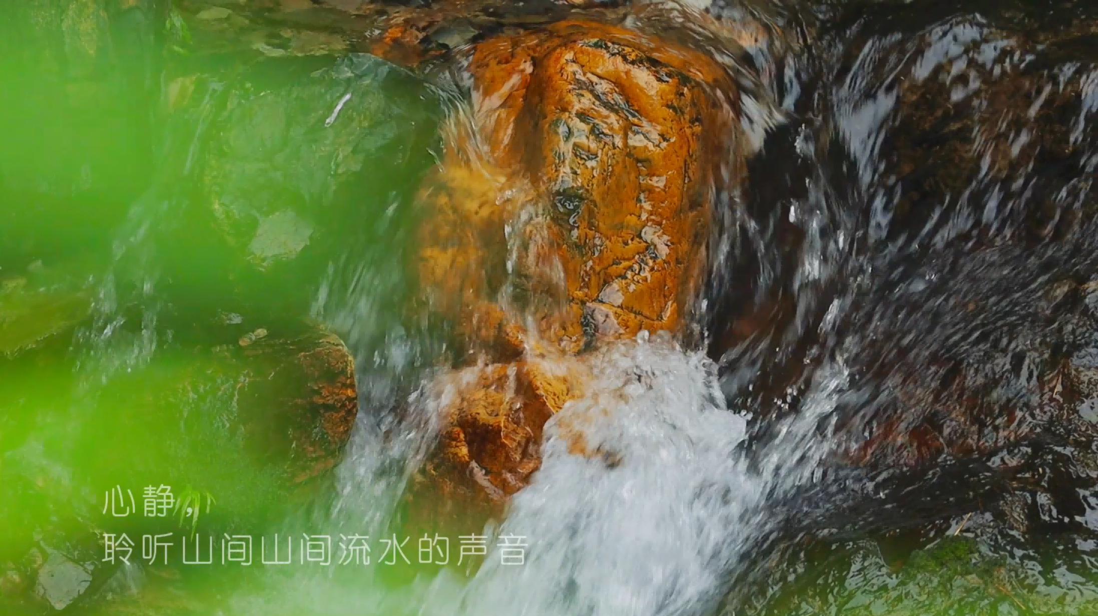 高山密林，源头好水